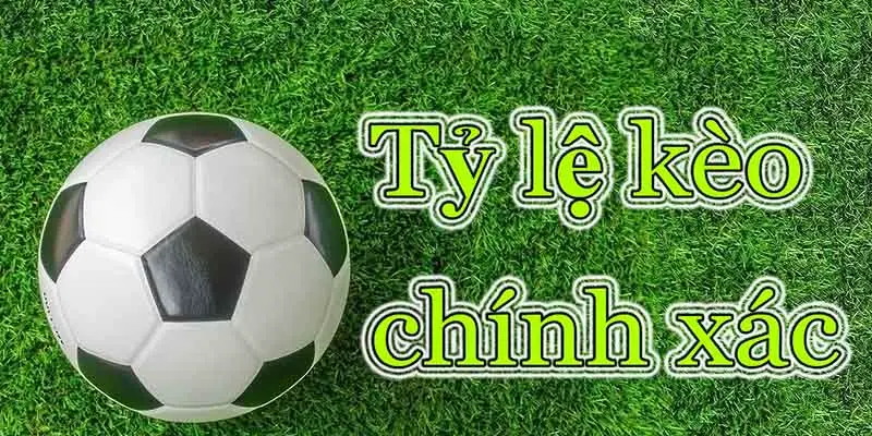 Chú ý biến động của Odds sẽ tránh được những rủi ro không đáng có