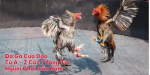 Đá Gà Cựa Dao | Từ A - Z Các Thông Tin Người Chơi Cần Nắm